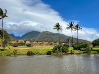 Maui