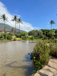 Maui