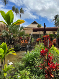 Maui