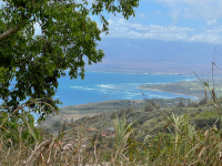 Maui
