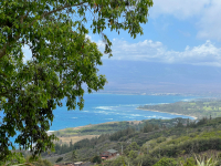 Maui