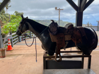 Maui