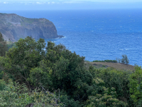 Maui