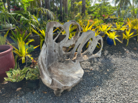 Maui