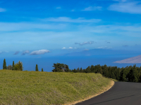 Maui