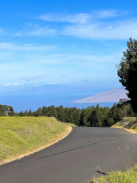 Maui