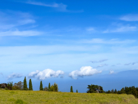 Maui