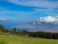 Maui