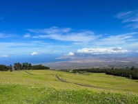 Maui