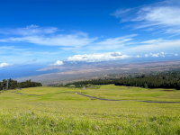 Maui