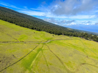 Maui