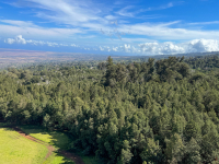 Maui