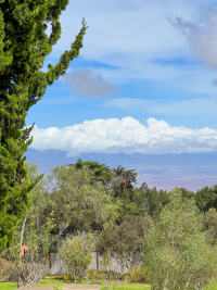 Maui
