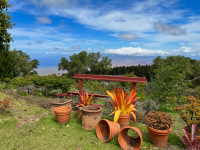 Maui