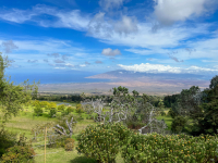 Maui