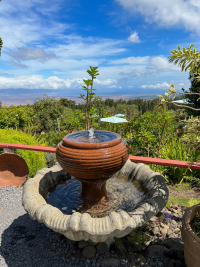 Maui