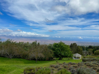 Maui