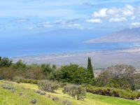 Maui