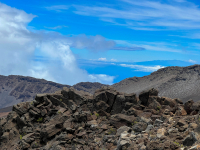 Maui