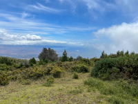Maui