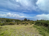 Maui