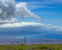 Maui