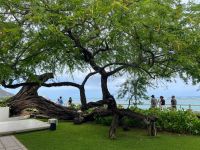 Oahu