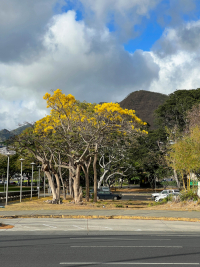 Oahu