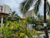 Oahu