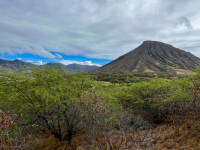 Oahu