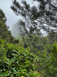 Oahu