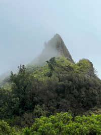 Oahu