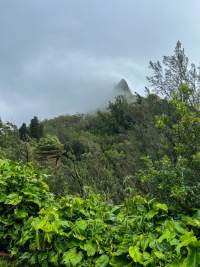 Oahu