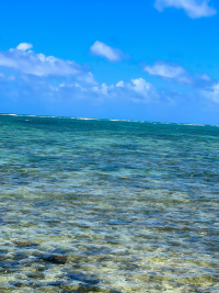 Oahu