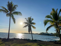 Big Island