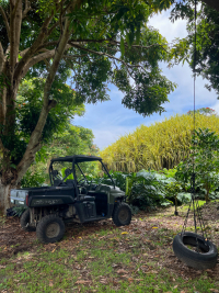 Big Island