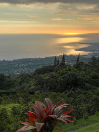 Big Island