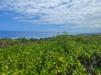 Big Island