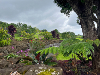 Big Island