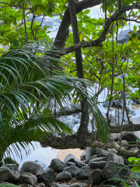 Kauai