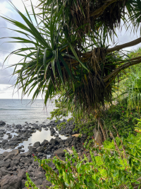 Kauai