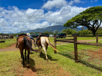 Kauai