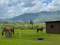 Kauai