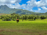 Kauai