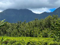 Kauai