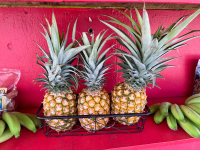 Kauai