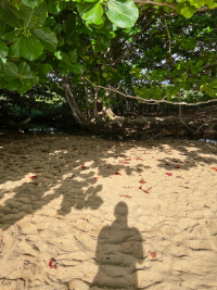 Kauai