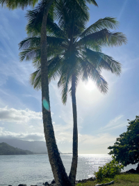 Kauai