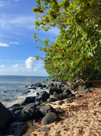 Kauai