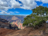 Kauai